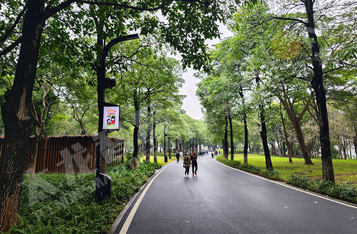 燈桿屏融合創新塑造城市新面孔